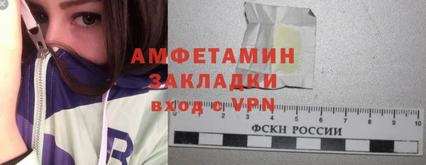 сатива Елабуга