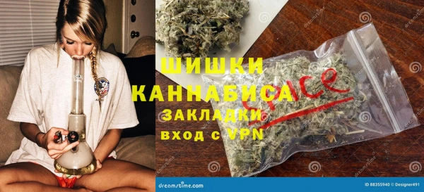 гидропоника Гусь-Хрустальный
