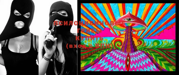 первитин Ельня