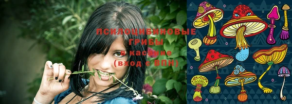 сатива Елабуга