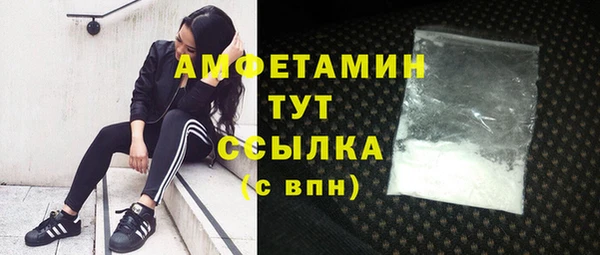 первитин Ельня