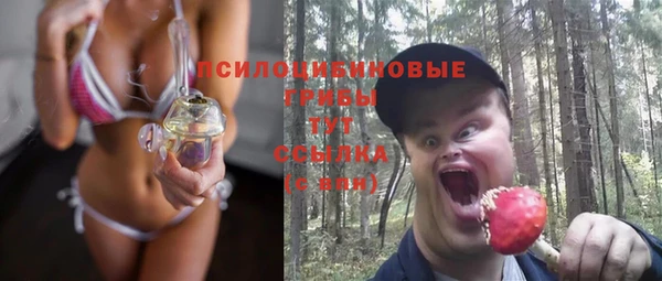 первитин Ельня